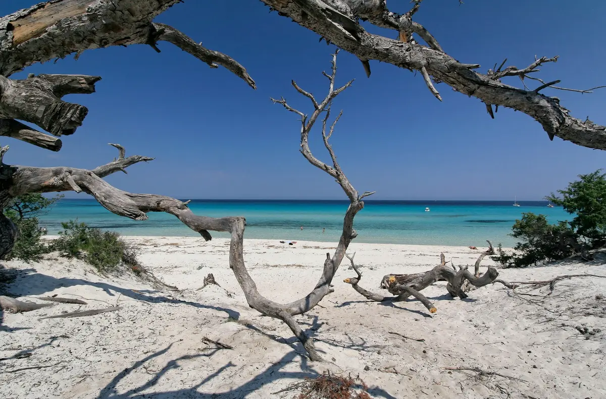 Excursions 4×4 au cœur du maquis Corse